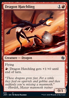 Dragon Hatchling